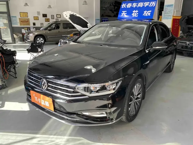 Volkswagen Magotan 2020 330TSI DSG Luxury
