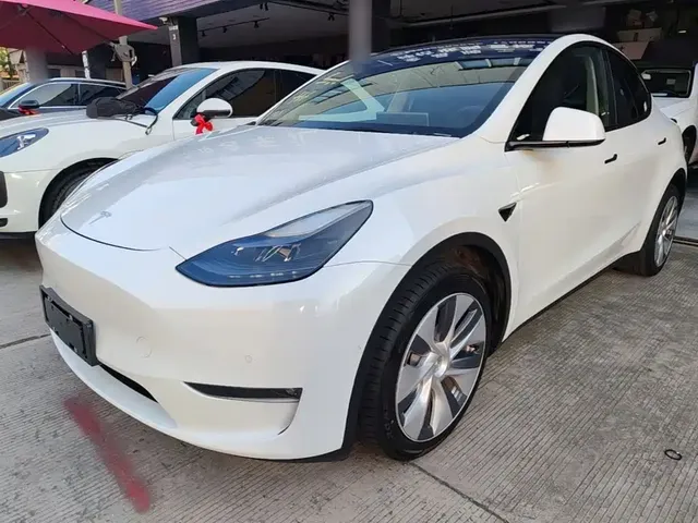 Tesla Model Y 2021 Standard Range Rear-Wheel Drive