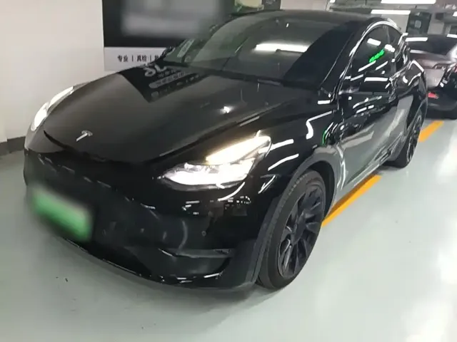 Tesla Model Y 2021 Long Range All-Wheel Drive 3D7