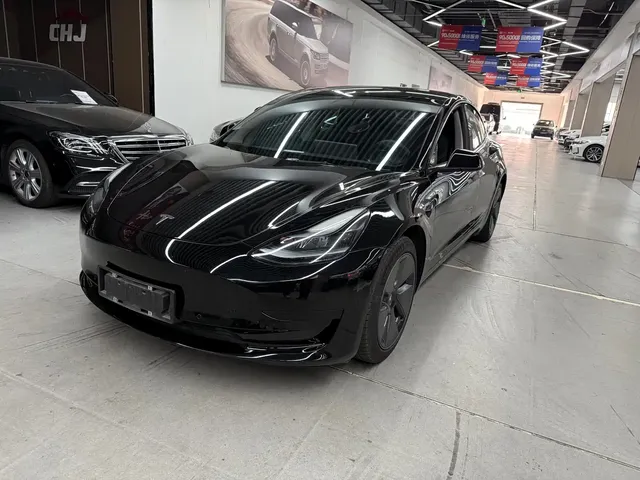 Tesla Model 3 2022 Model Rear-Wheel Drive Version
