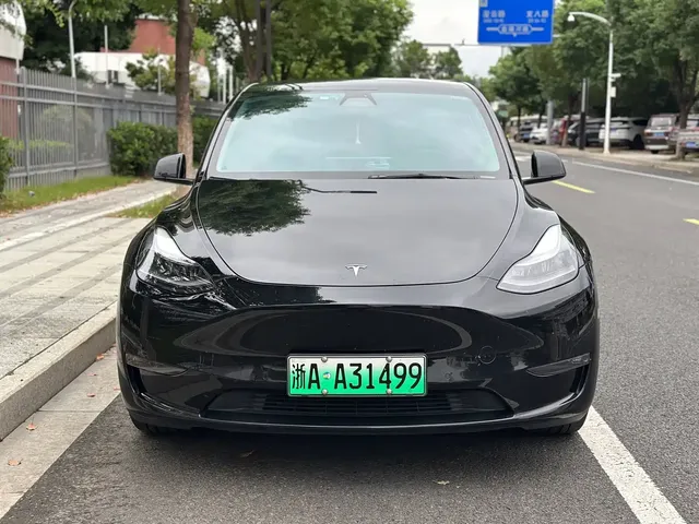 Tesla Model Y 2022 Rear-Wheel Drive Version