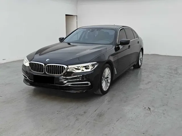 BMW 5 Series New Energy 2020 530Le Range Upgrade Luxury Package