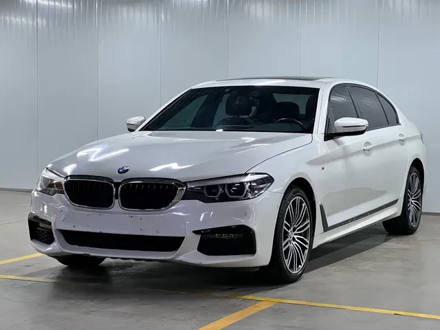 BMW 5 Series 2019 530Li Leading M Sport Package