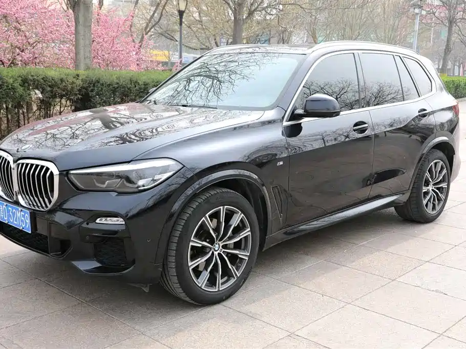 BMW X5 (Import) 2021 xDrive30i M Sport Package