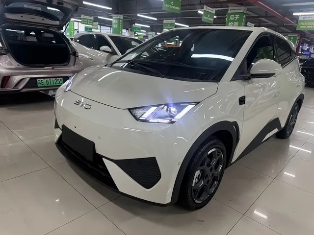 BYD Seagull 2025 Smart Drive Edition 305km Freedom Version