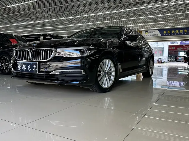 BMW 5 Series 2020 530Li Leading Luxury Package