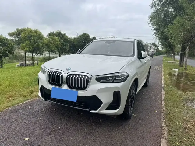 BMW iX3 2023 Leading Type