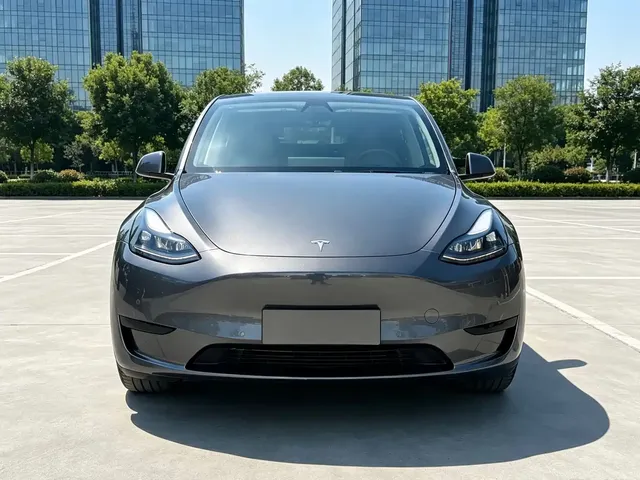 Tesla Model Y 2022 Rear-Wheel Drive Version