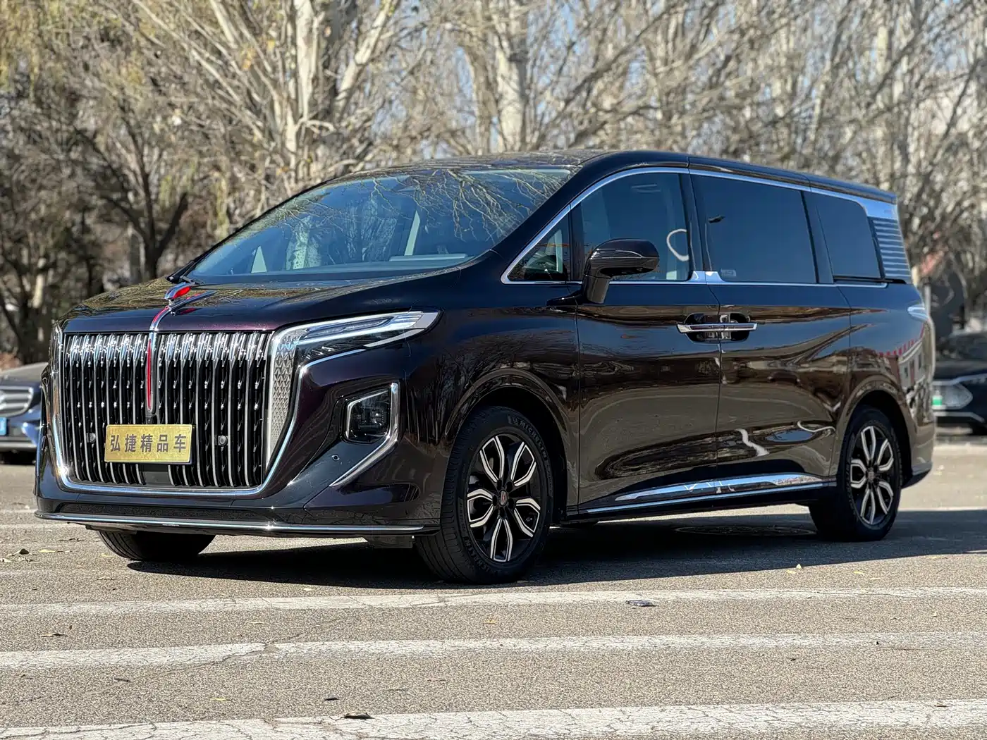 Hongqi HQ9 2023 2.0T Smart Connect Flag Enjoy Edition