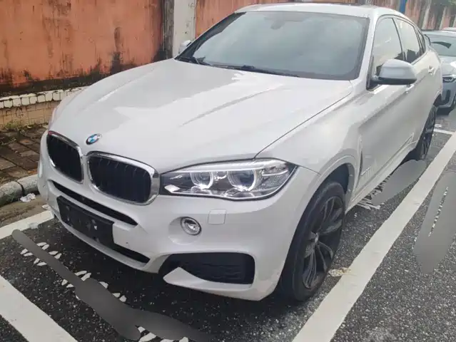 BMW X6 2019 xDrive35i M Sport Package