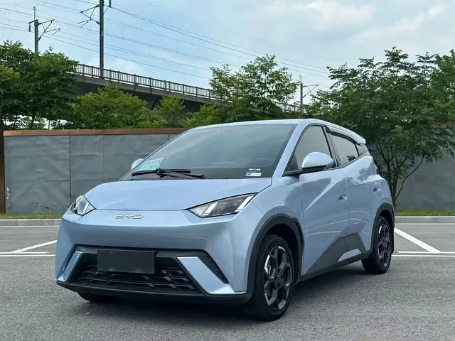 BYD Seagull 2024 Glory Edition 305km Freedom Edition