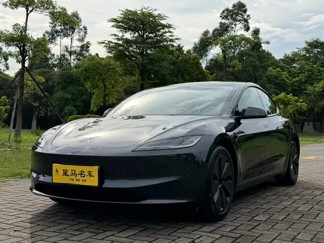 Tesla Model 3 2025 Model Rear-Wheel Drive Edition