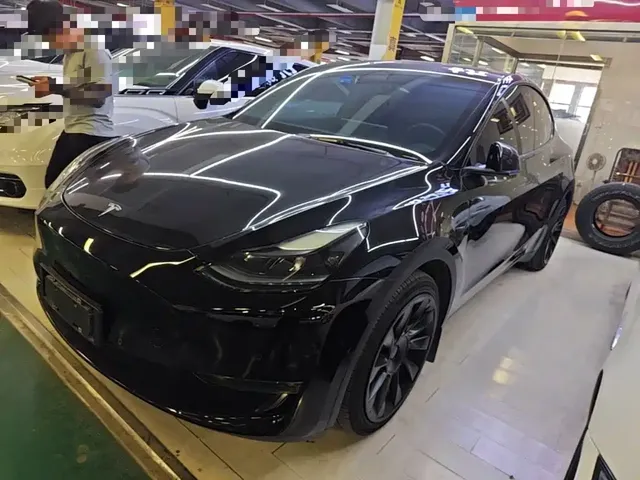 Tesla Model Y 2021 Standard Range Rear-Wheel Drive
