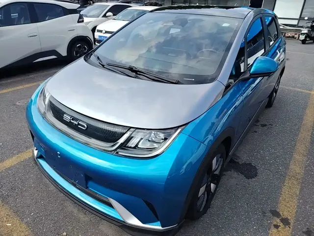 BYD Dolphin 2021 401km Knight Edition