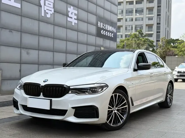 BMW 5 Series 2020 530Li Leading M Sport Package