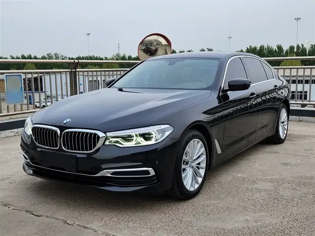 BMW 5 Series 2020 530Li Leading Luxury Package