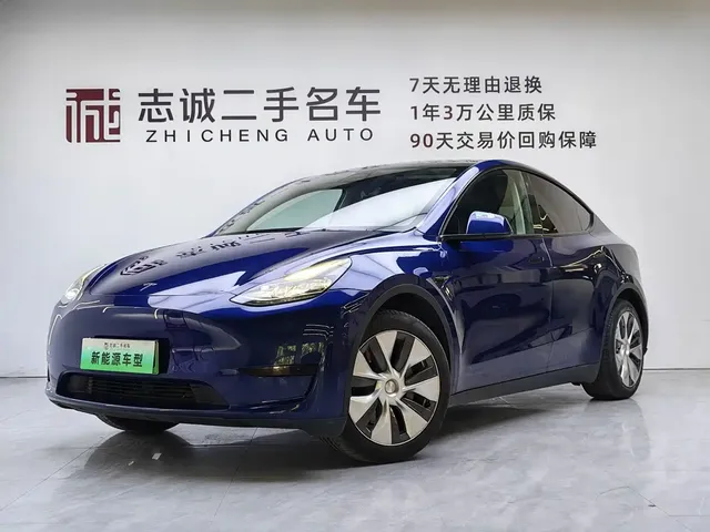 Tesla Model Y 2022 Rear-Wheel Drive Version
