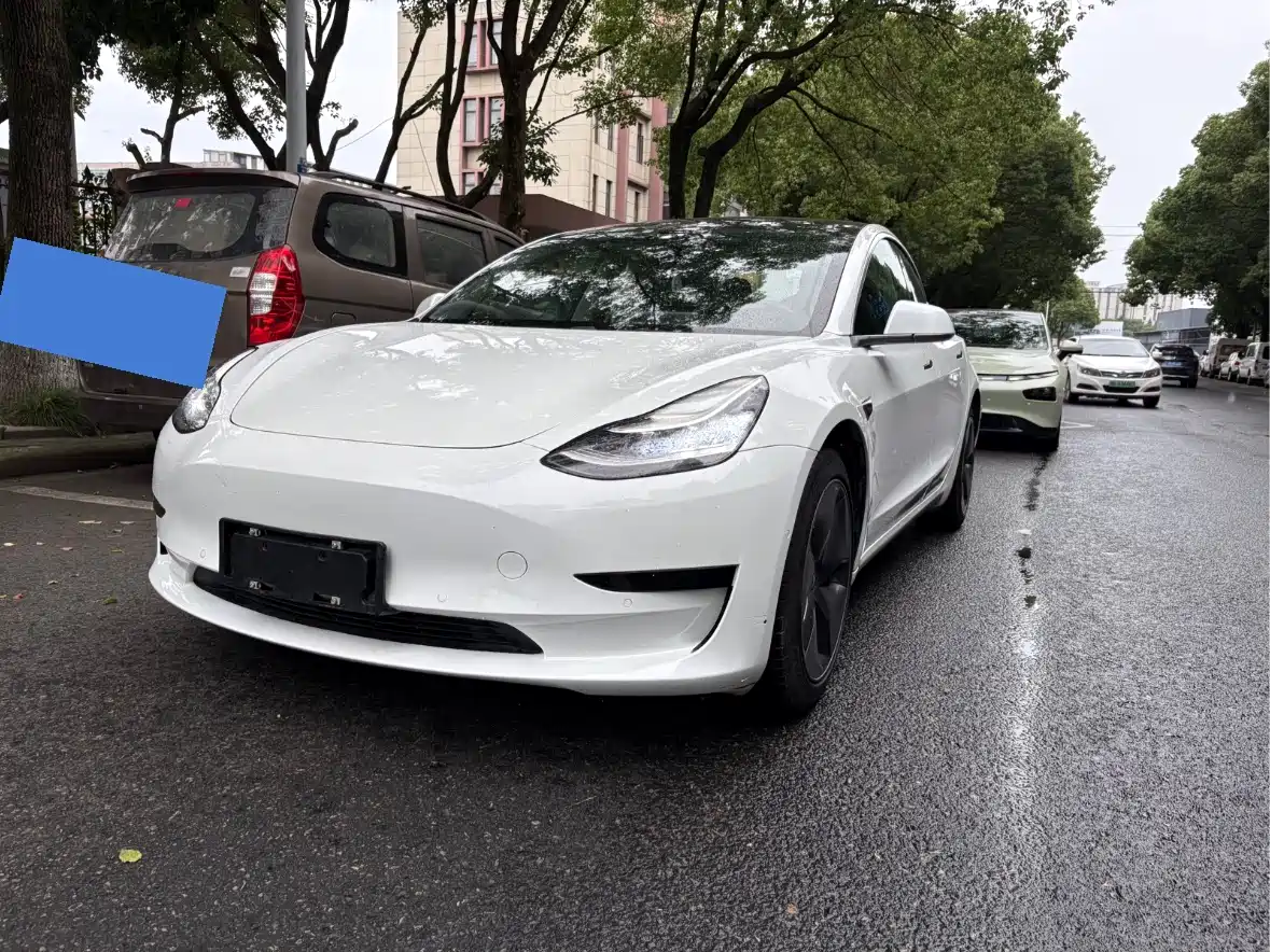 Tesla Model 3 (Import) 2019 Standard Range RWD Upgraded Edition