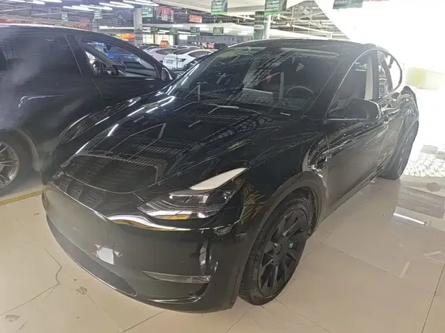 Tesla Model Y 2021 Standard Range Rear-Wheel Drive
