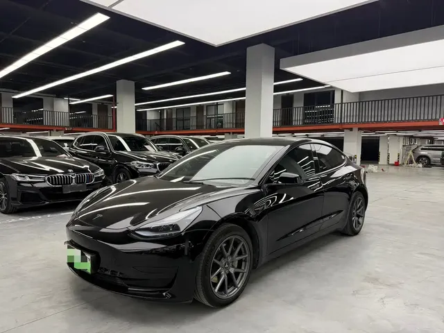 Tesla Model 3 2022 Model Rear-Wheel Drive Version