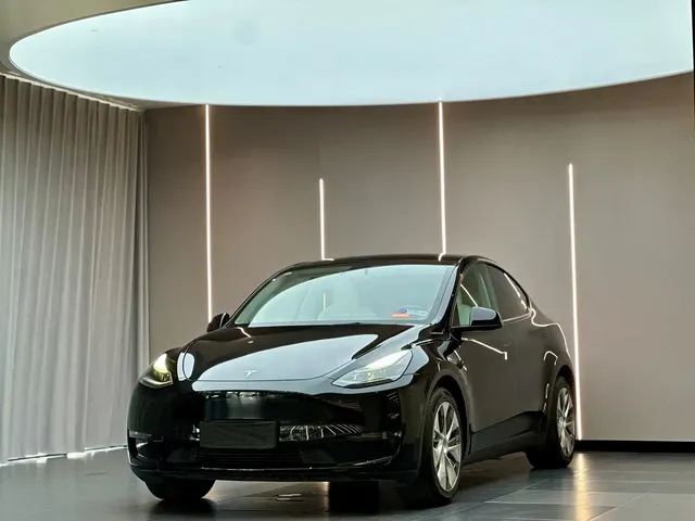 Tesla Model Y 2022 Rear-Wheel Drive Version