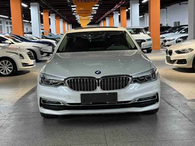 BMW 5 Series New Energy 2019 530Le Luxury Package