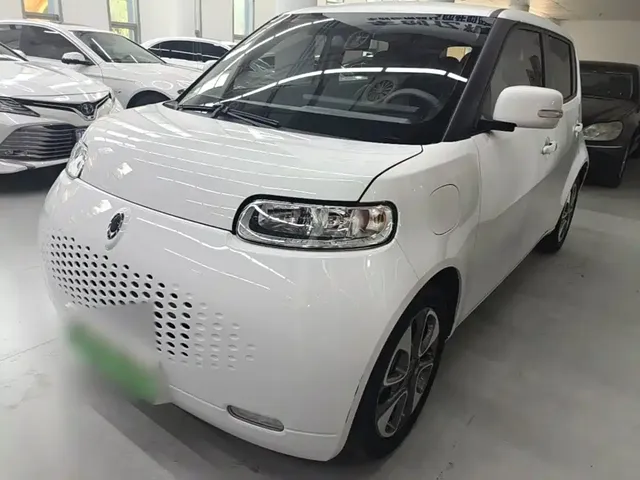 Ora White Cat 2022 Upgraded 305km Luxury (NMC)