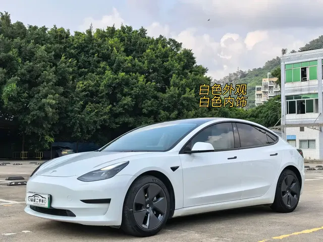 Tesla Model 3 2021 Standard Range Rear-Wheel Drive Upgrade 3D6