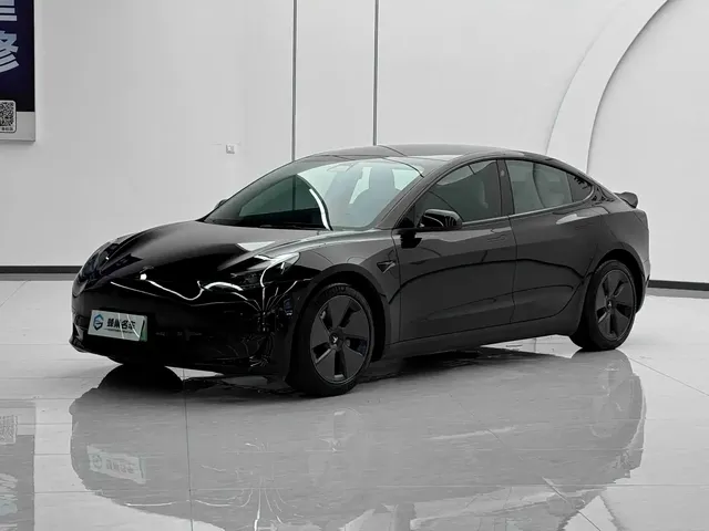 Tesla Model 3 2022 Model Rear-Wheel Drive Version