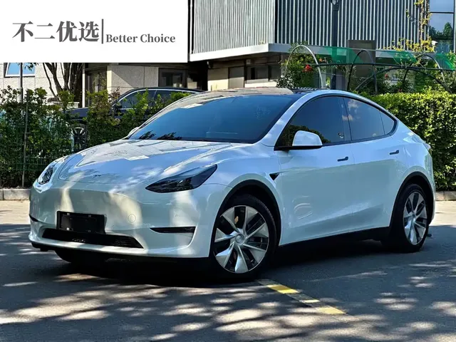 Tesla Model Y 2021 Standard Range Rear-Wheel Drive