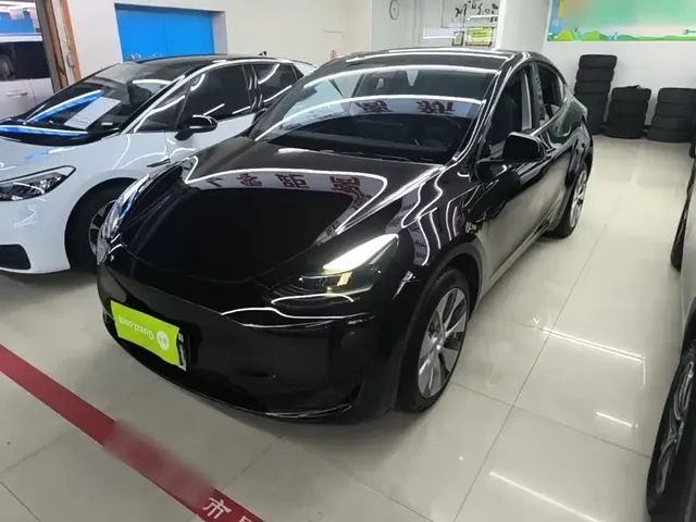 Tesla Model Y 2022 Rear-Wheel Drive Version