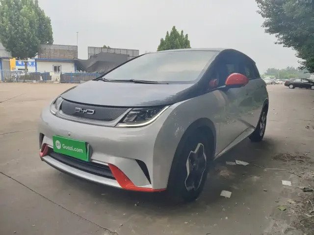 BYD Dolphin 2021 405km Freedom Edition