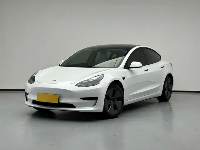 Tesla Model 3 2022 Model Rear-Wheel Drive Version
