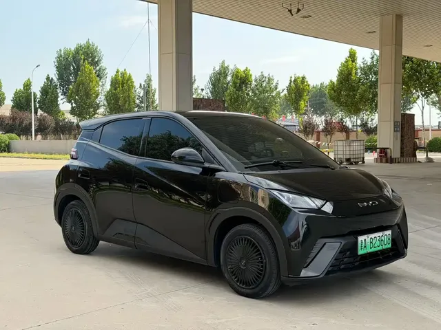 BYD Seagull 2024 Glory Edition 305km Vitality Edition