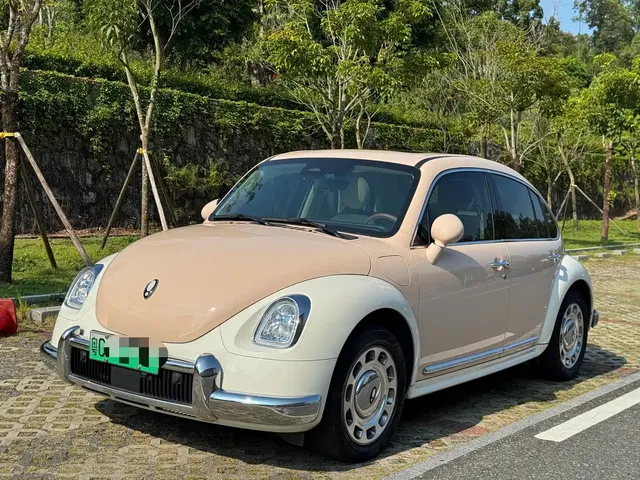 Ora Ballet Cat 2023 401km Luxury Model