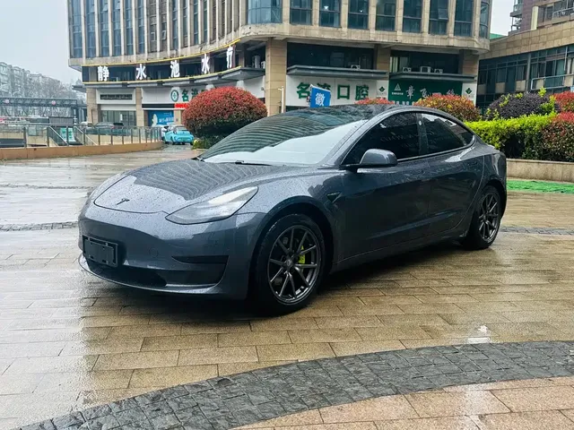 Tesla Model 3 2020 Standard Range Rear-Wheel Drive Upgrade