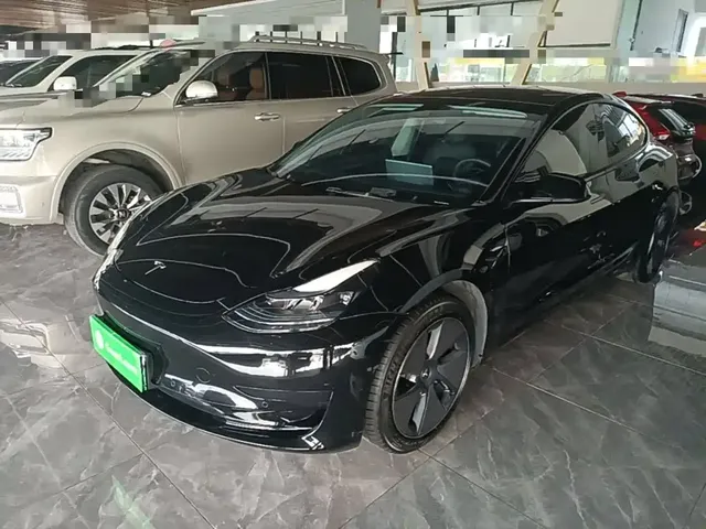 Tesla Model 3 2022 Model Rear-Wheel Drive Version