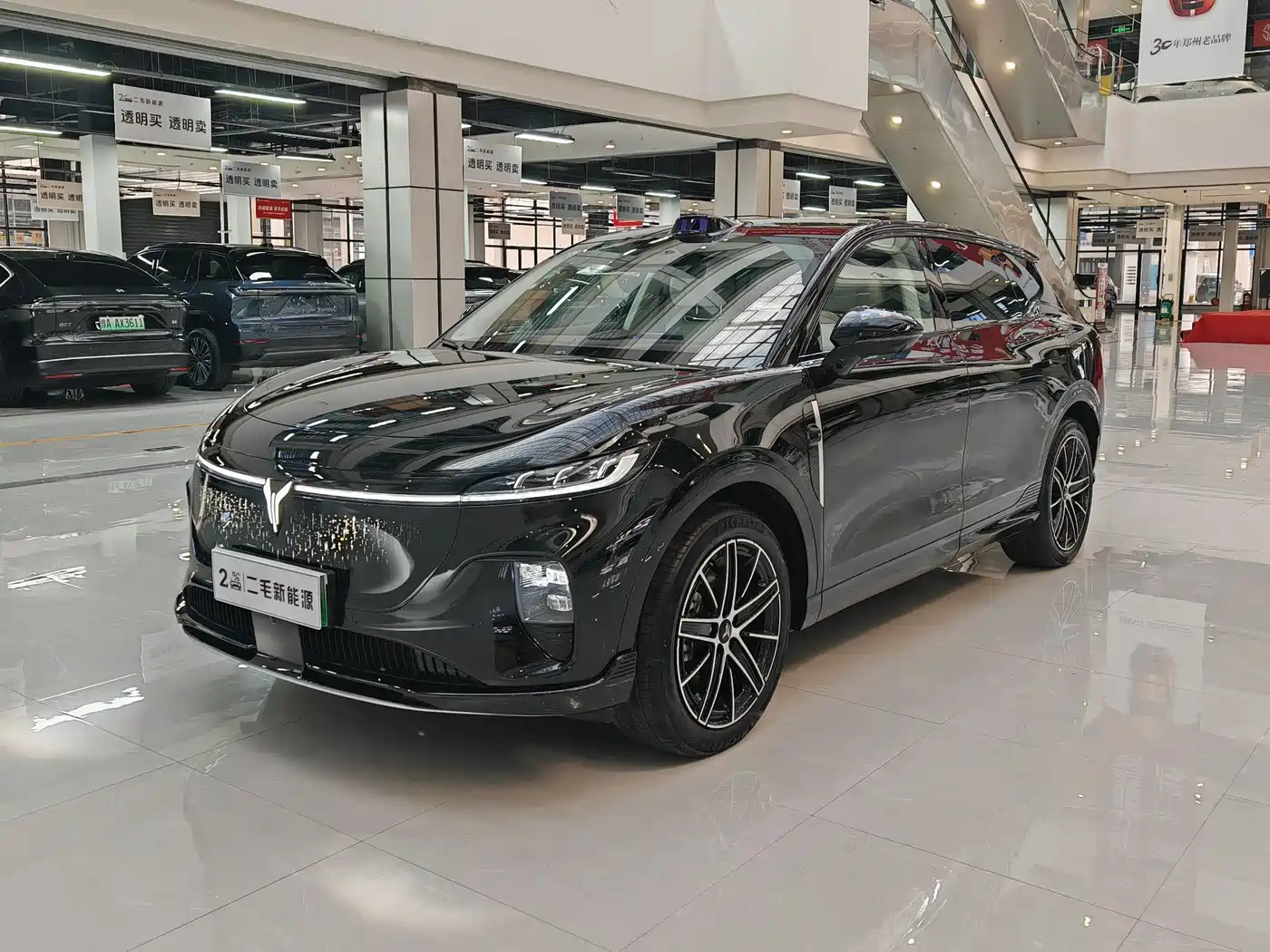 Voyah Auto Voyah Zhiyin 2025 Base