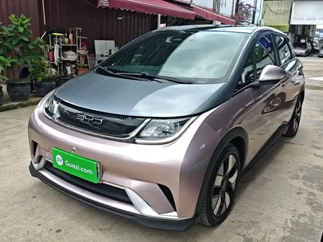 BYD Dolphin 2021 401km Knight Edition