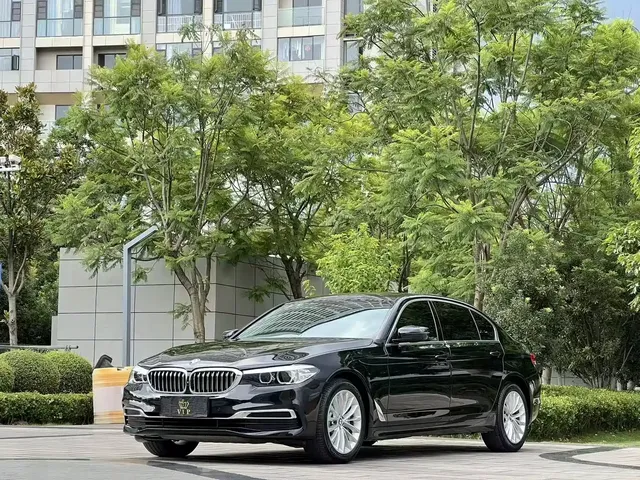 BMW 5 Series 2019 530Li Leading Luxury Package