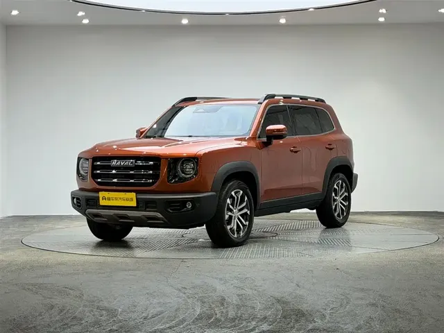 Haval Big Dog 2021 1.5T DCT 2WD Border Collie Edition