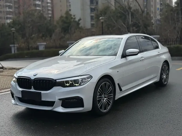 BMW 5 Series 2019 530Li Leading M Sport Package
