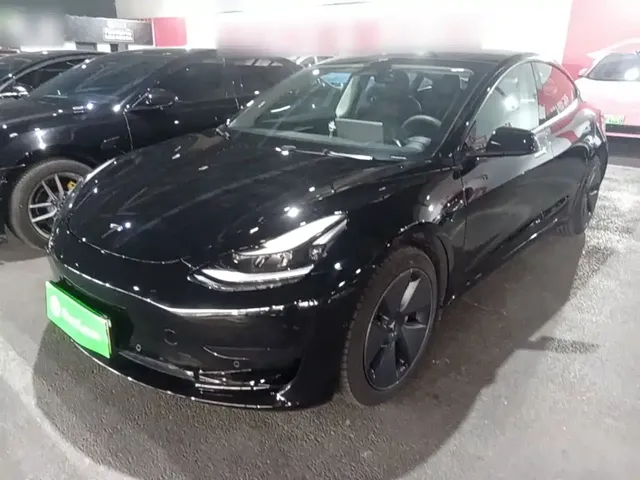 Tesla Model 3 2022 Model Rear-Wheel Drive Version