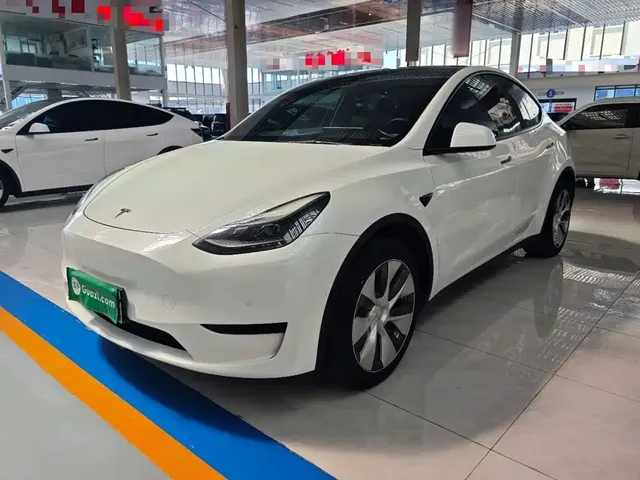 Tesla Model Y 2022 Rear-Wheel Drive Version