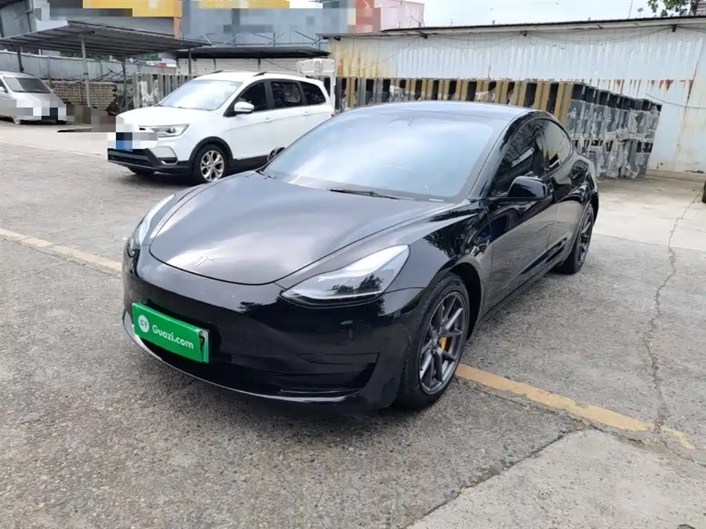 Tesla Model 3 2021 Standard Range Rear-Wheel Drive Upgrade 3D6