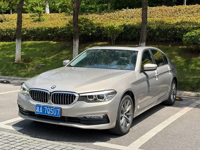 BMW 5 Series 2018 528Li Launch Special Edition