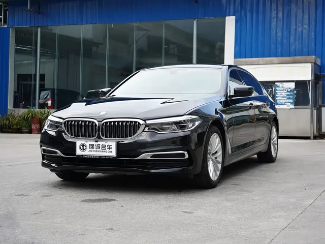 BMW 5 Series 2020 530Li Leading Luxury Package