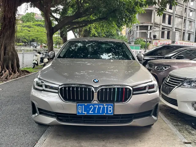 BMW 5 Series 2021 530Li Leading Luxury Package