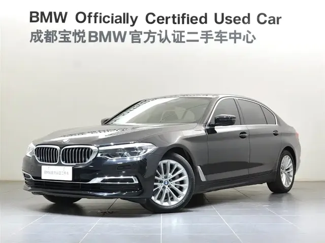 BMW 5 Series 2020 530Li Leading Luxury Package