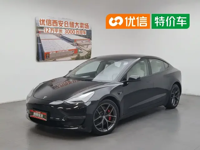 Tesla Model 3 2021 Performance High-Performance All-Wheel Drive 3D6